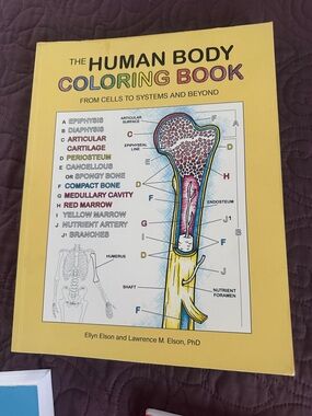 Human coloring handbook
